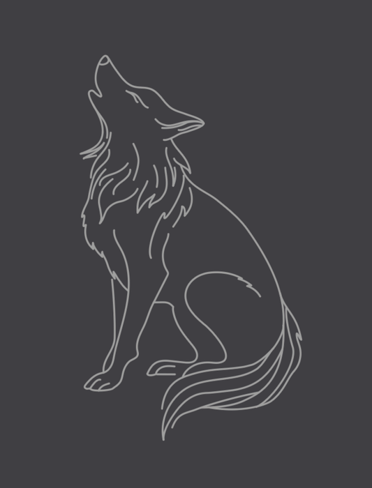 Wolf Embroidered Crop T-Shirt (Womens) - October Mystery Design