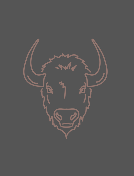 Buffalo Embroidered Pocket Animal T-Shirt