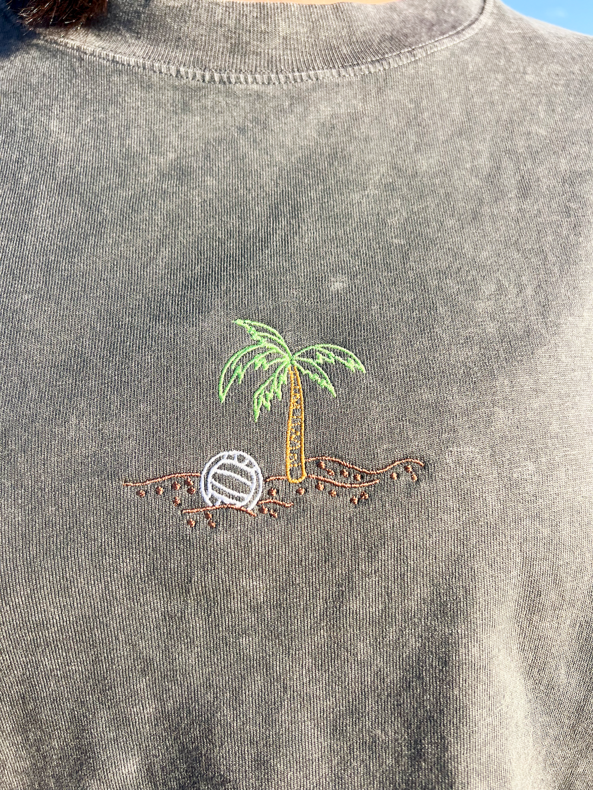 Volleyball Skelly Embroidered Crop T-Shirt (Womens)