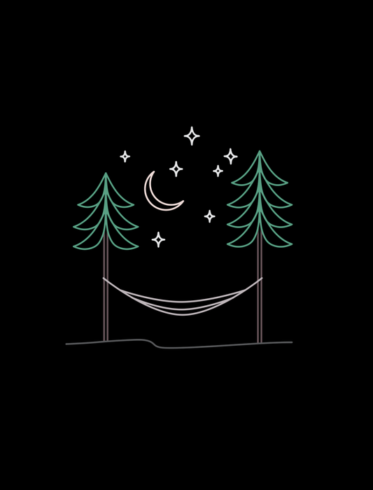 Stargazing Embroidered Crop T-Shirt (Womens)