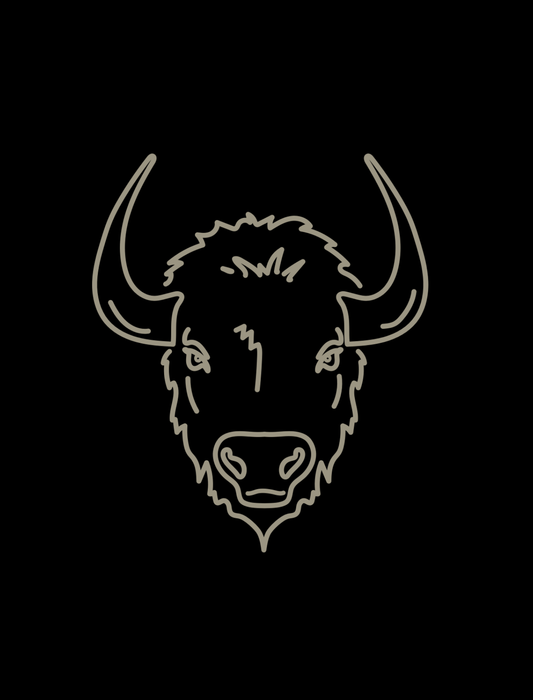 Buffalo Embroidered Crop T-Shirt (Womens)