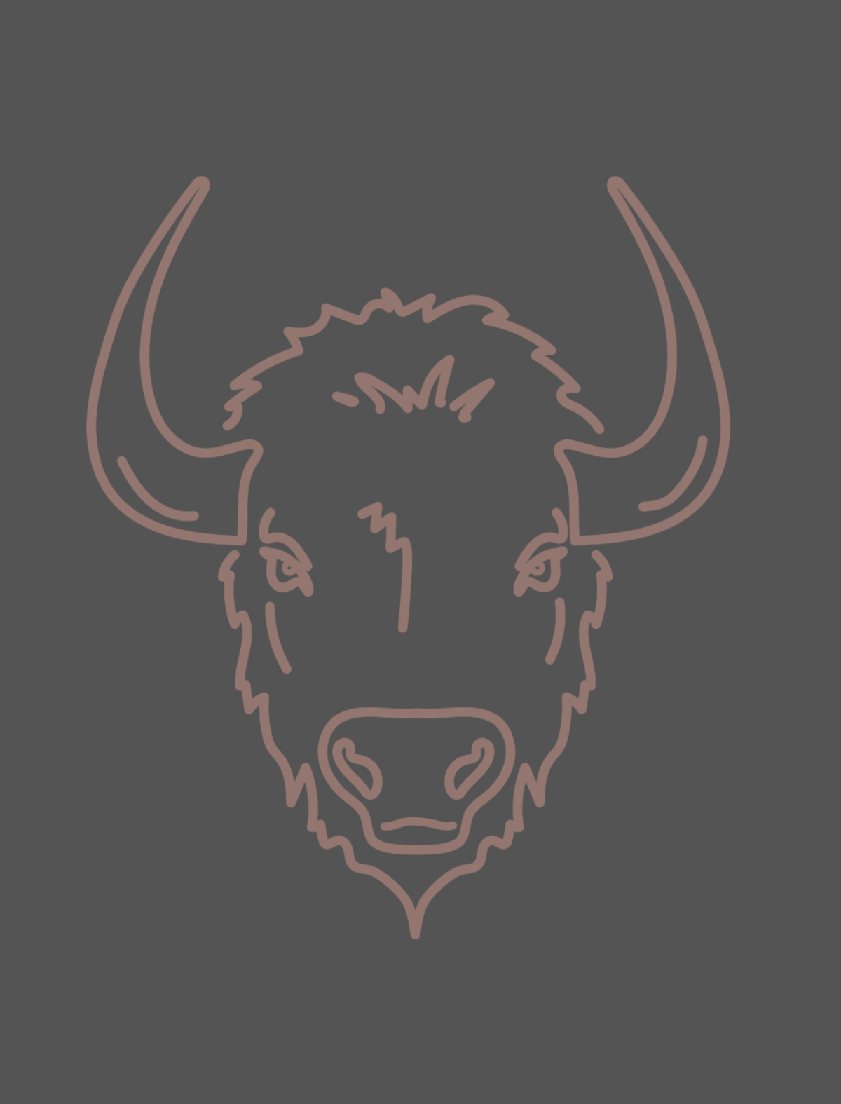 Buffalo Hoodie