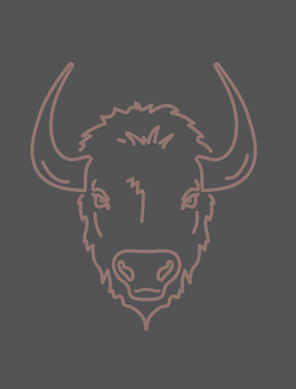 Buffalo Hoodie