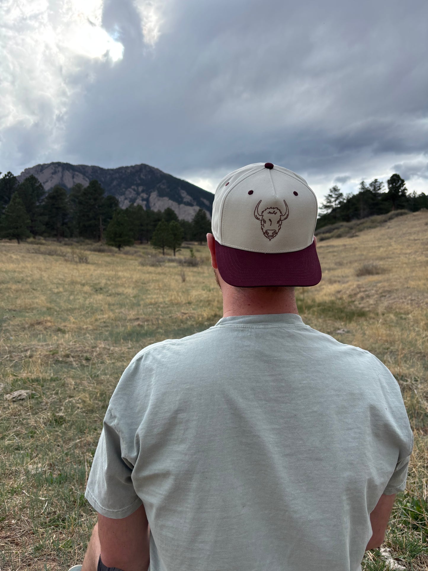 Buffalo Embroidered Hat