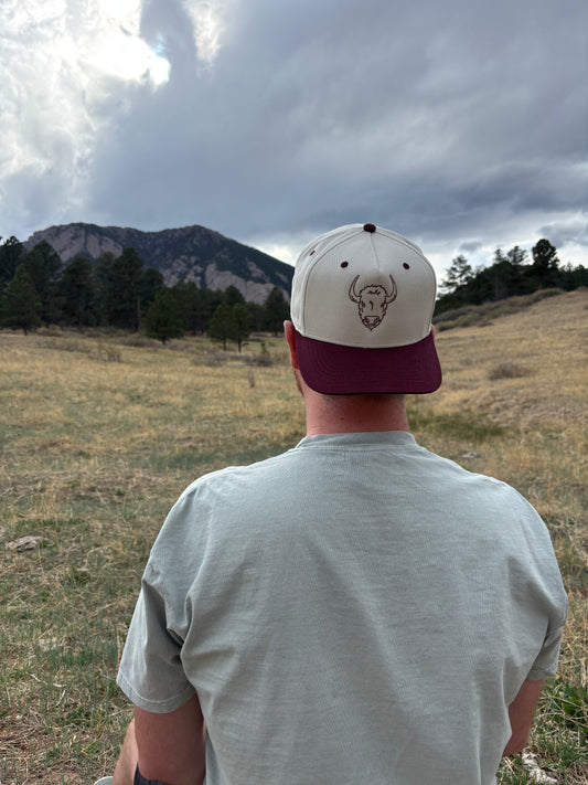 Buffalo Embroidered Hat